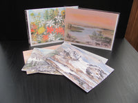 Moose Grazing, Art Card