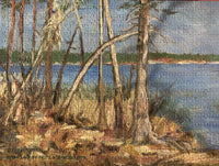 Trees at Emma Lake, Limited Edition Puzzle